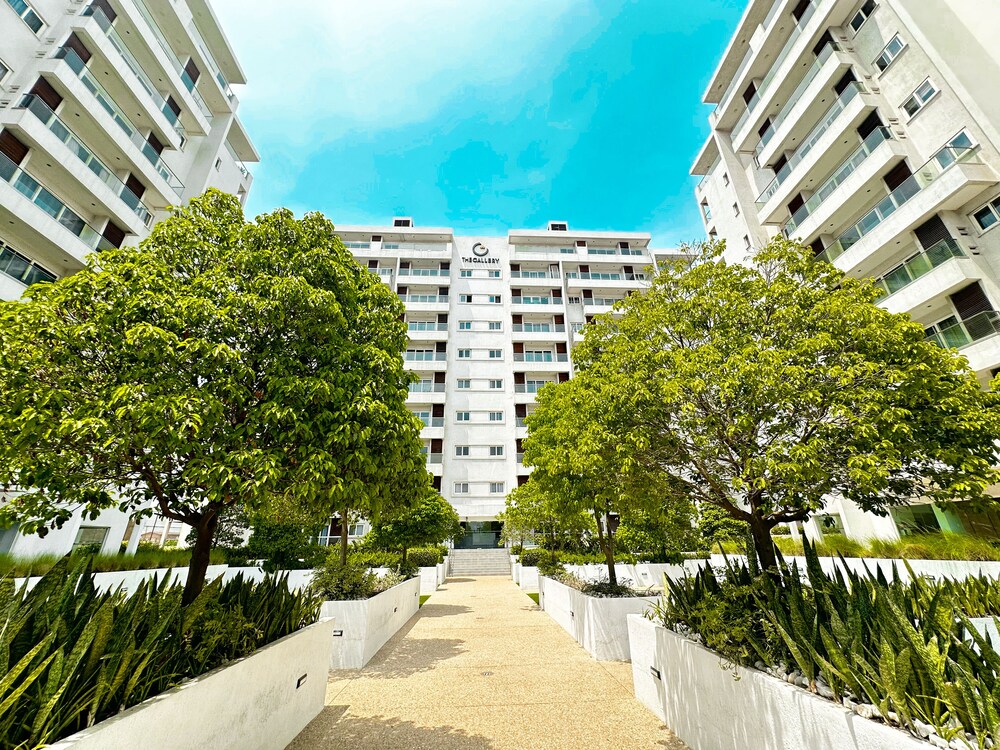 The Gallery Apartment