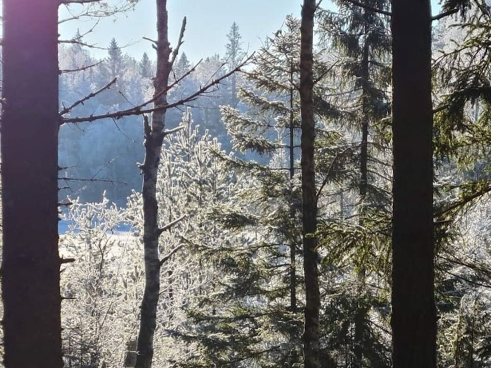 4 Star Holiday Home in Backefors