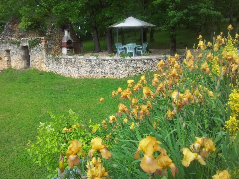 Photo 47