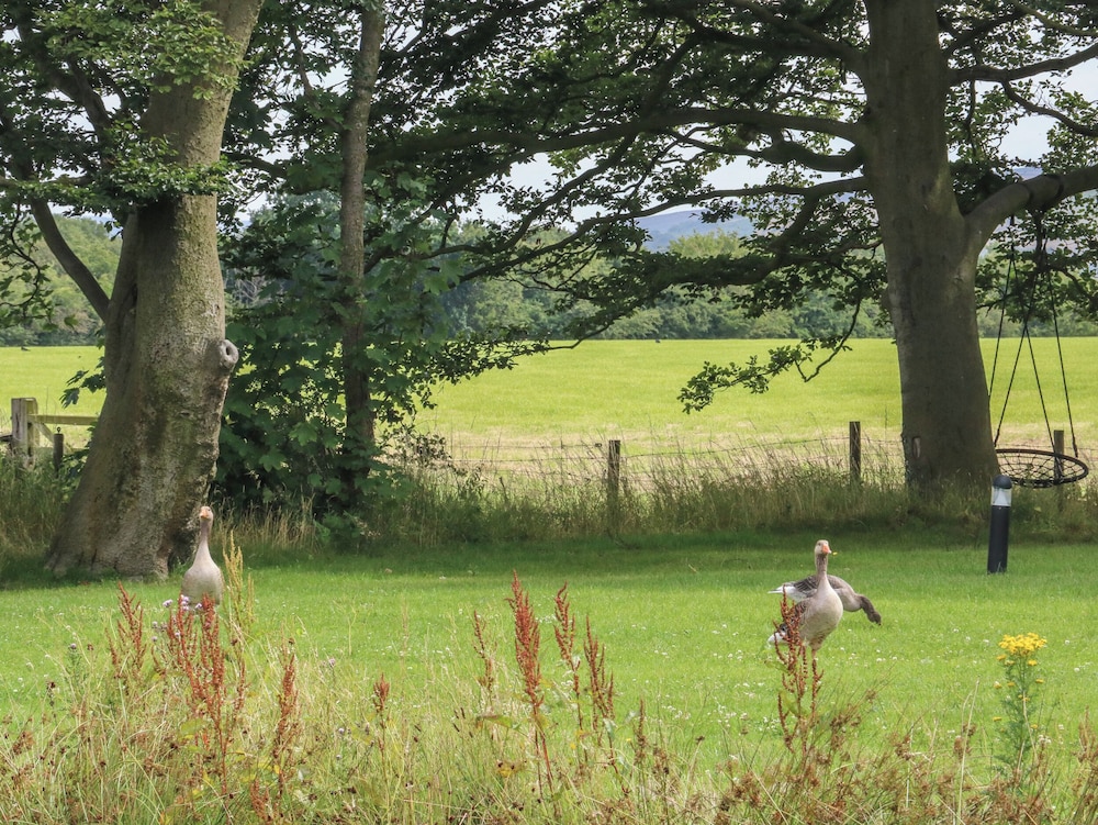 Ruperts Retreat