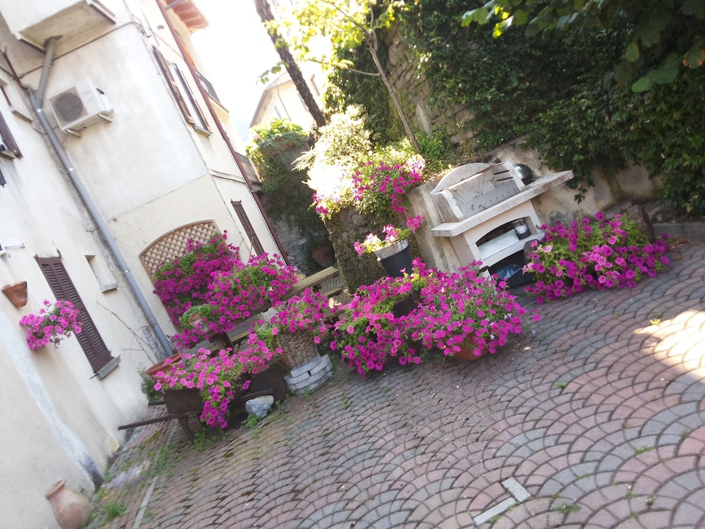 Azalea & Glicine House