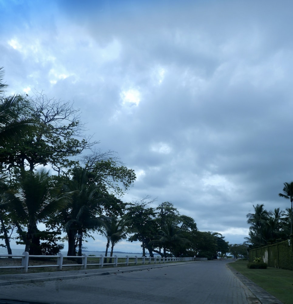 Photo 42