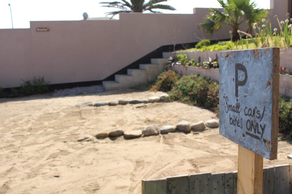 Salty Jackal Surf Camp