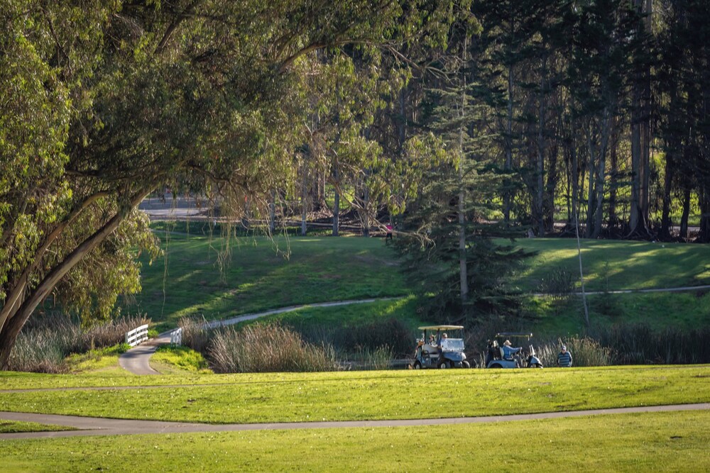The Fairways