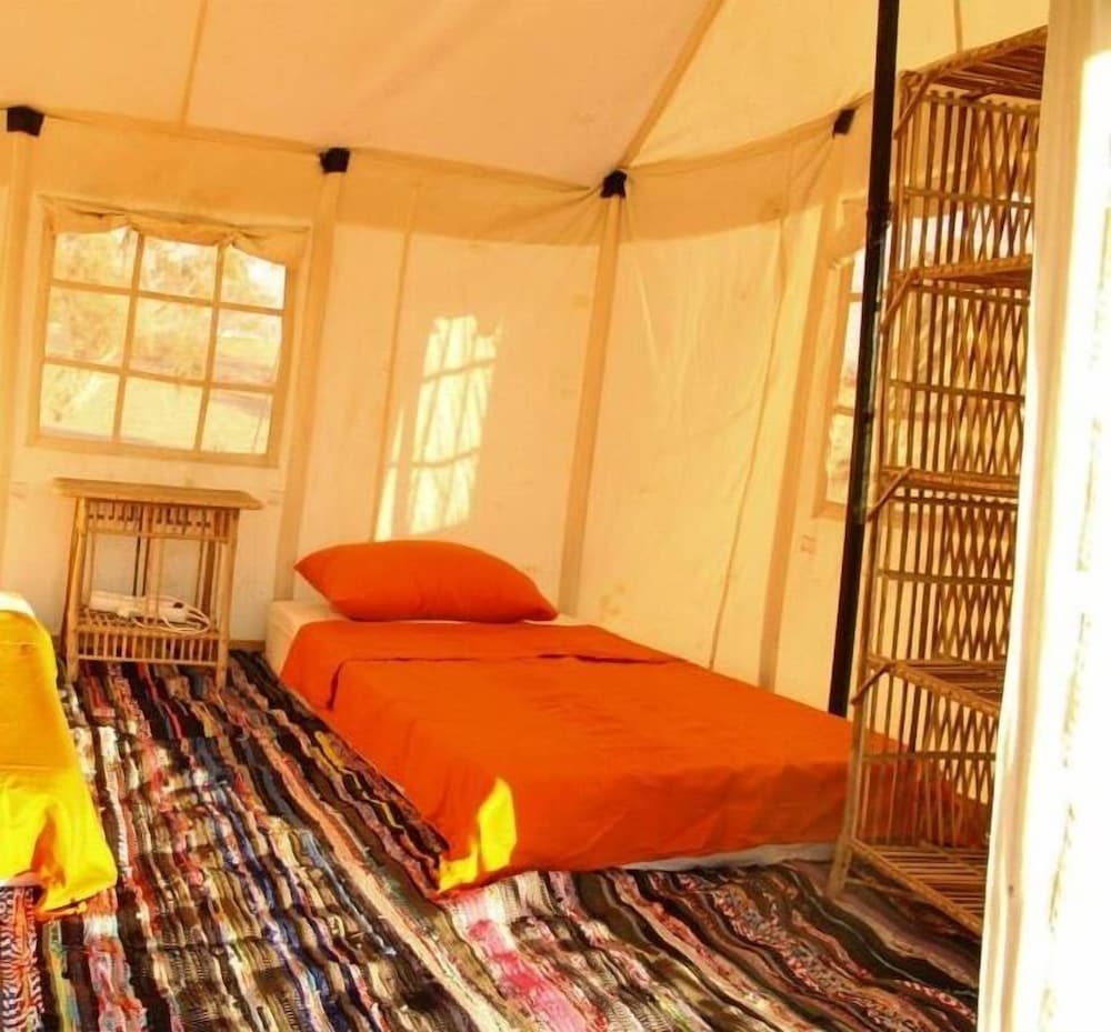 Ayla Camp