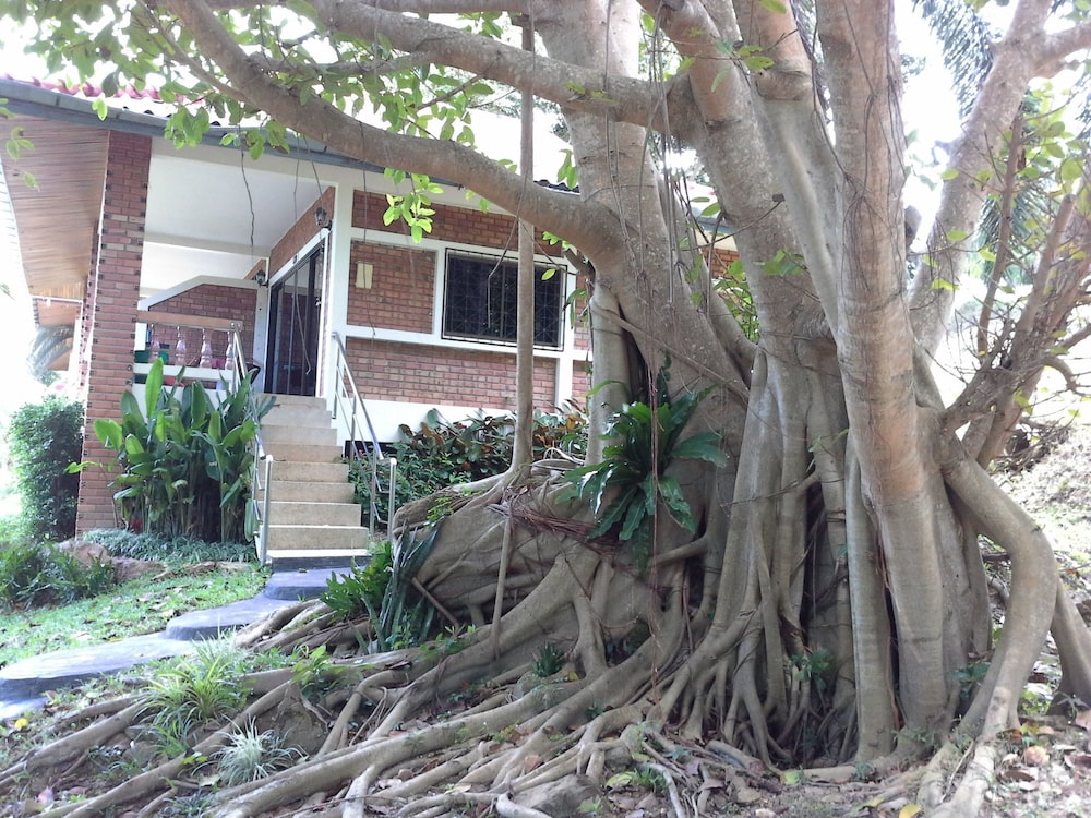 Freedom Estate