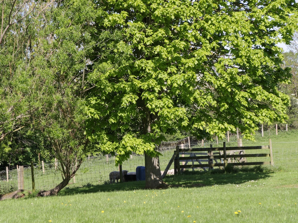 Goathland Cottage