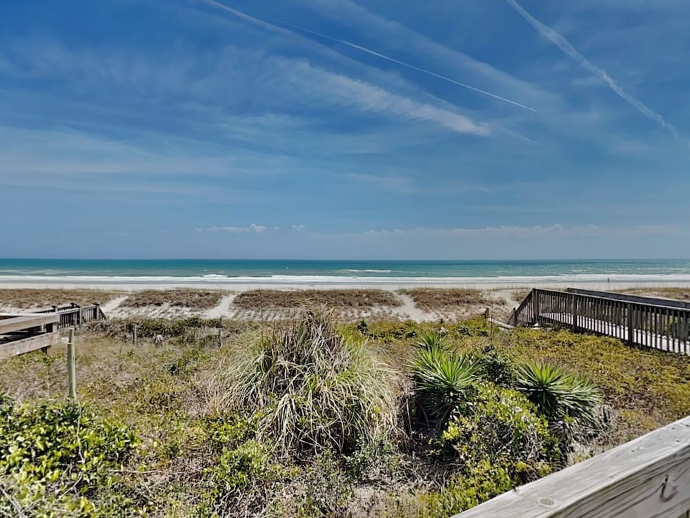 Squirrelly Banana by Topsail Realty