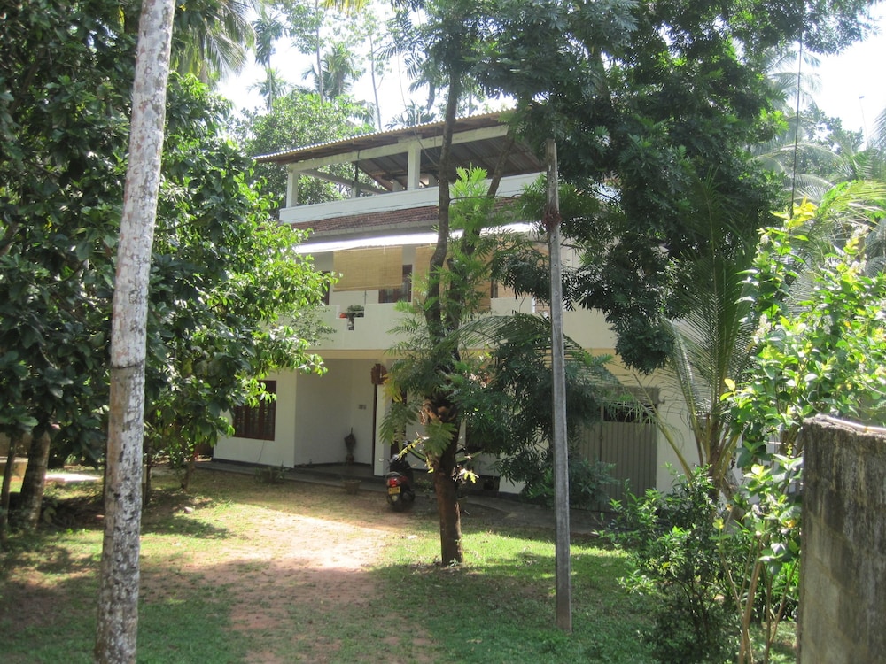 Jungleside House