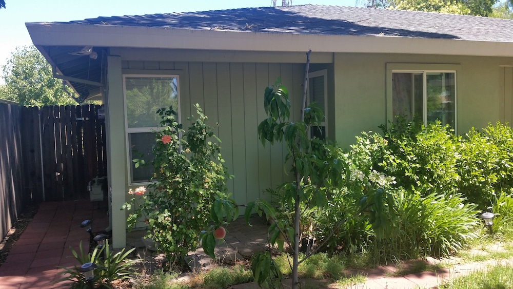 Bed and Breakfast - Property Image 2
