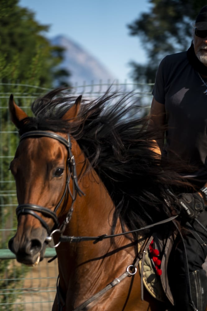 Berke Ranch & Nature - Özel Sınıf - Image 57