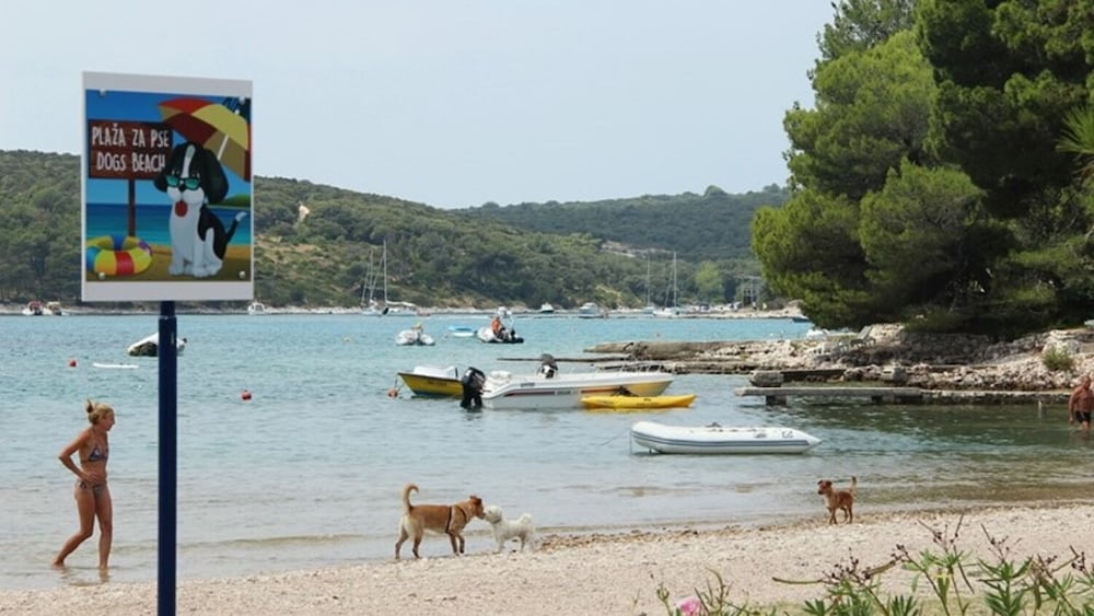 Pero - 80 m From sea - A3 view 4