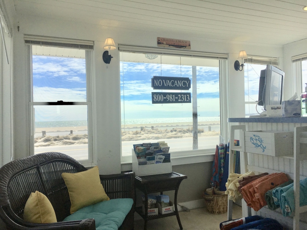 The Ocean View