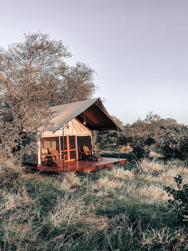 Photo 38