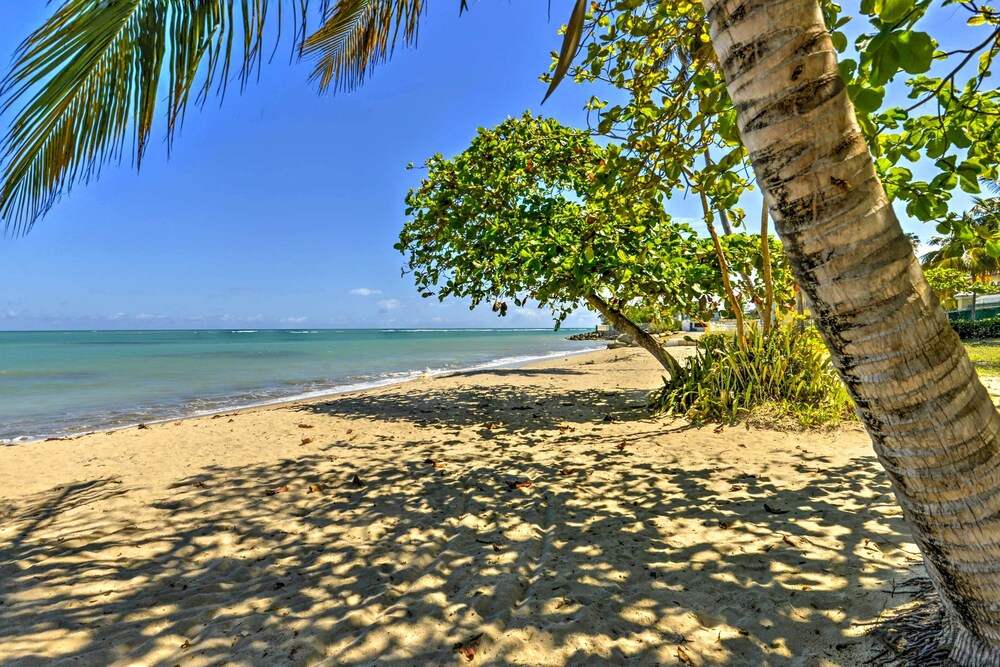 Tropical Puerto Rico Penthouse: Waterpark On-site!, photo 21