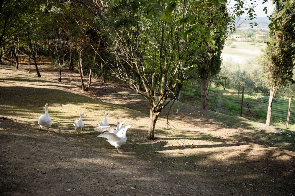 Fattoria Sant'Andrea