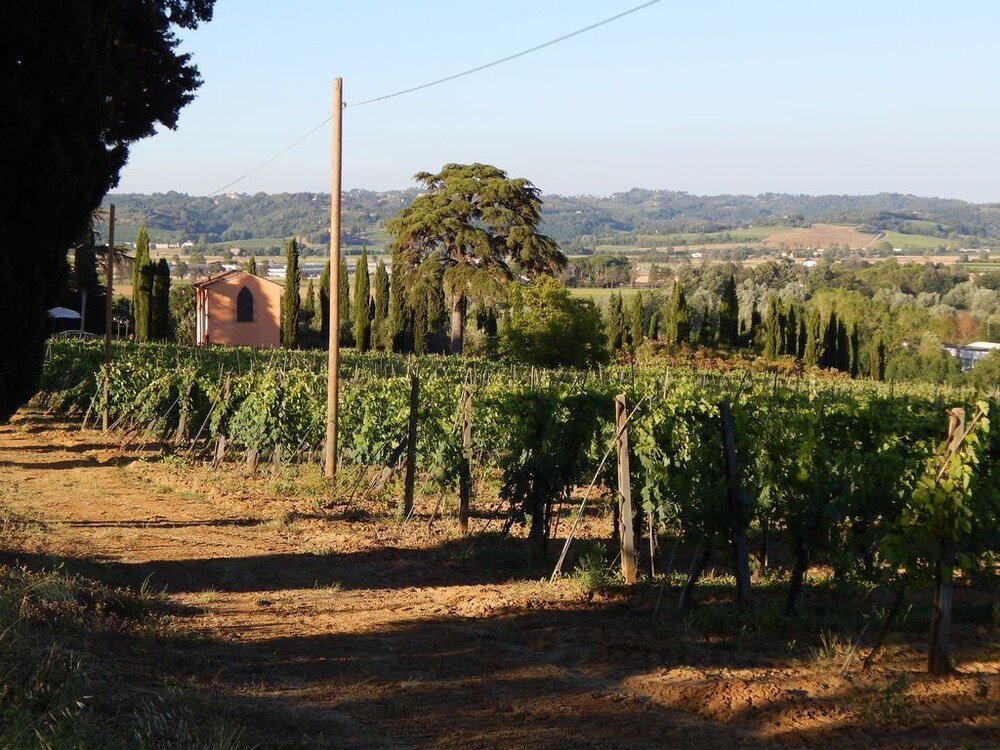 Agriturismo Santo Pietro