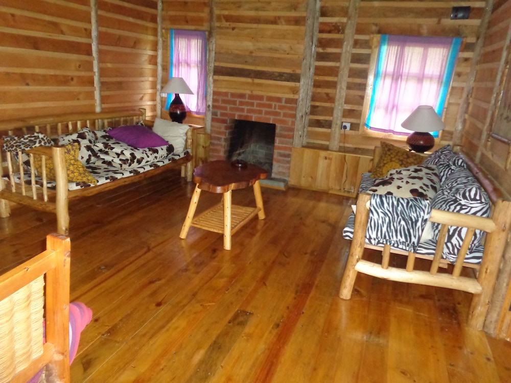 Photo 44