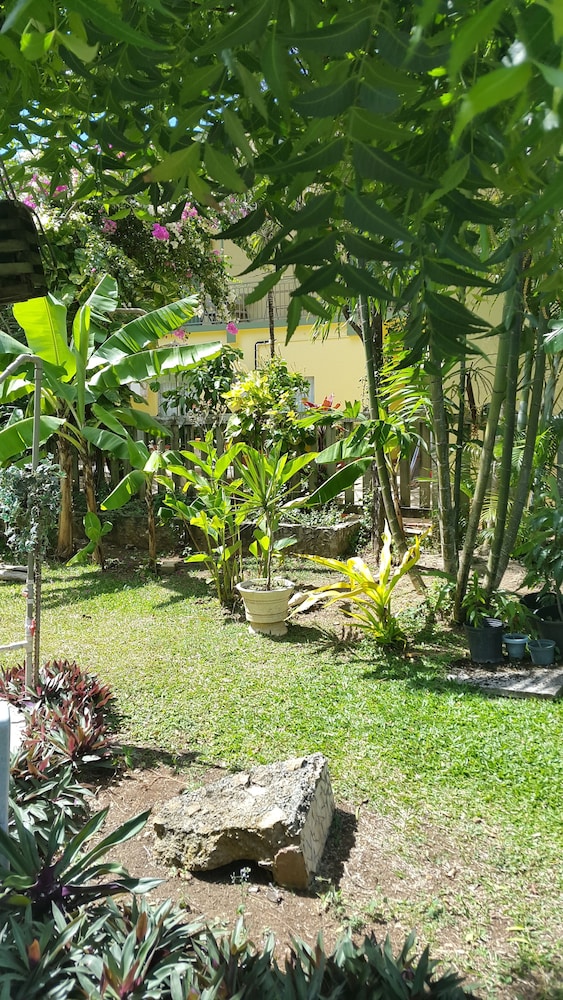 Bananaquit Apartments