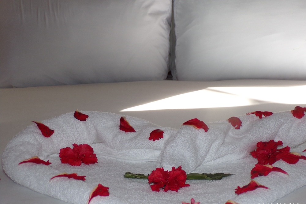 Mycasa's Bed and Breakfast