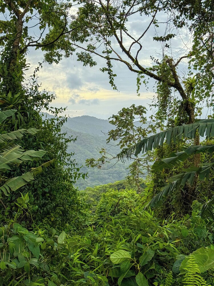 Refugio Las Cortezas