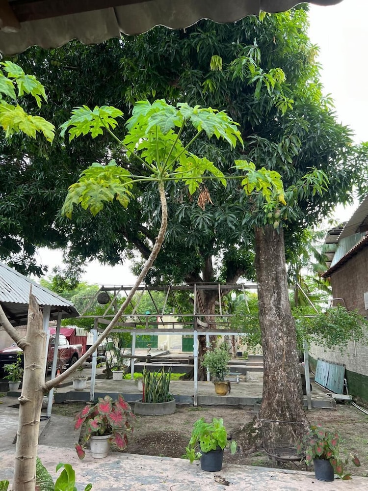 Pousada Alecrim