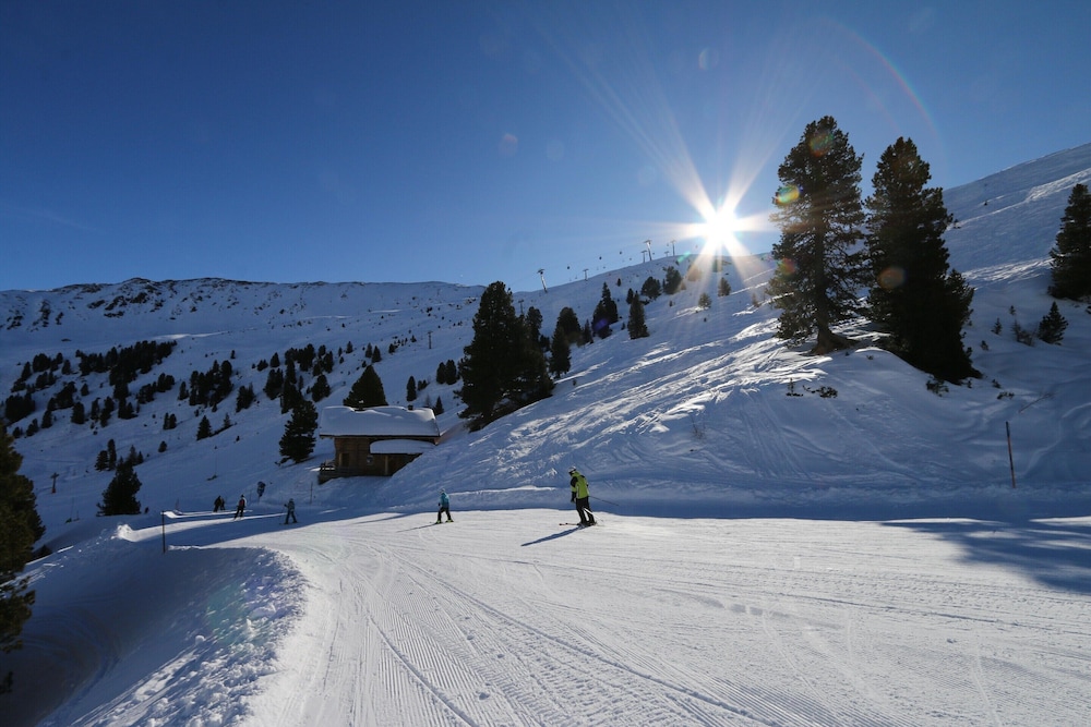 Chalet in Wildkogel With Ski-in/ski-out