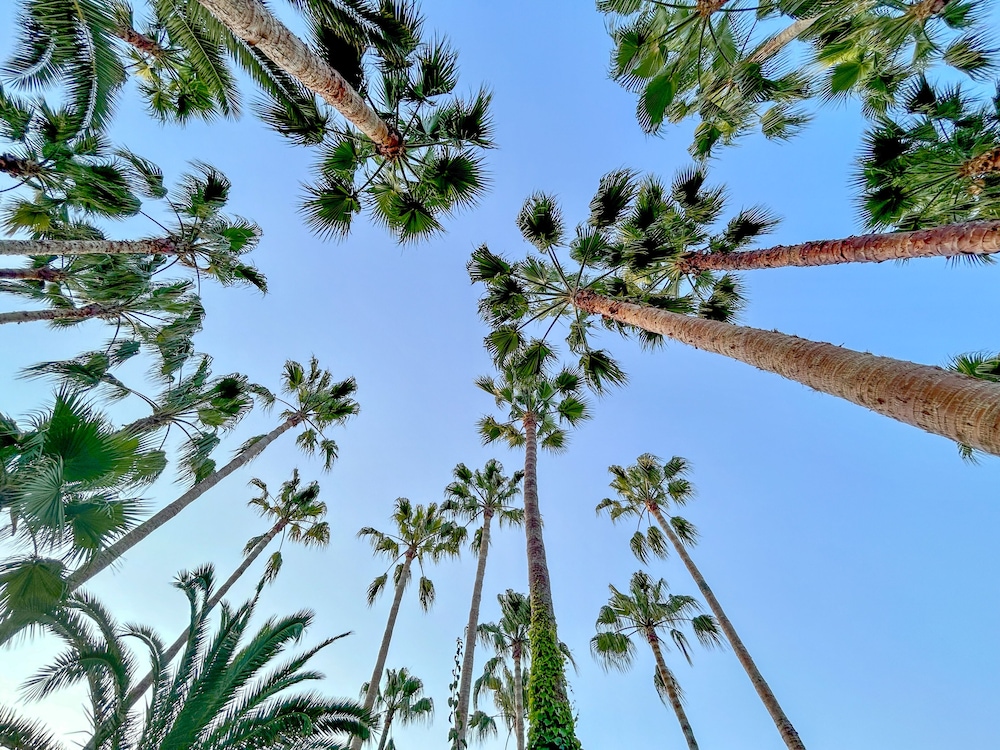 Meryan Otel - Her Şey Dâhil - Image 26