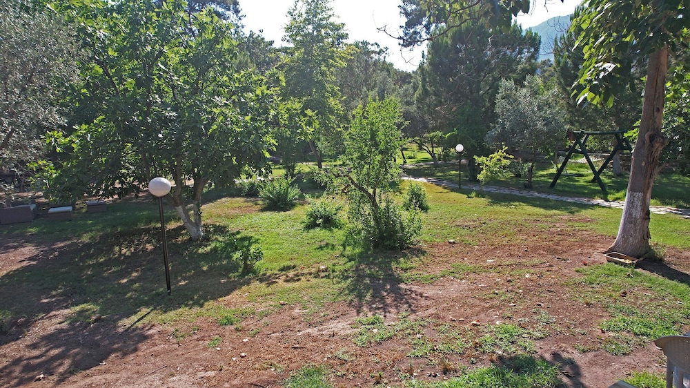 Photo 10