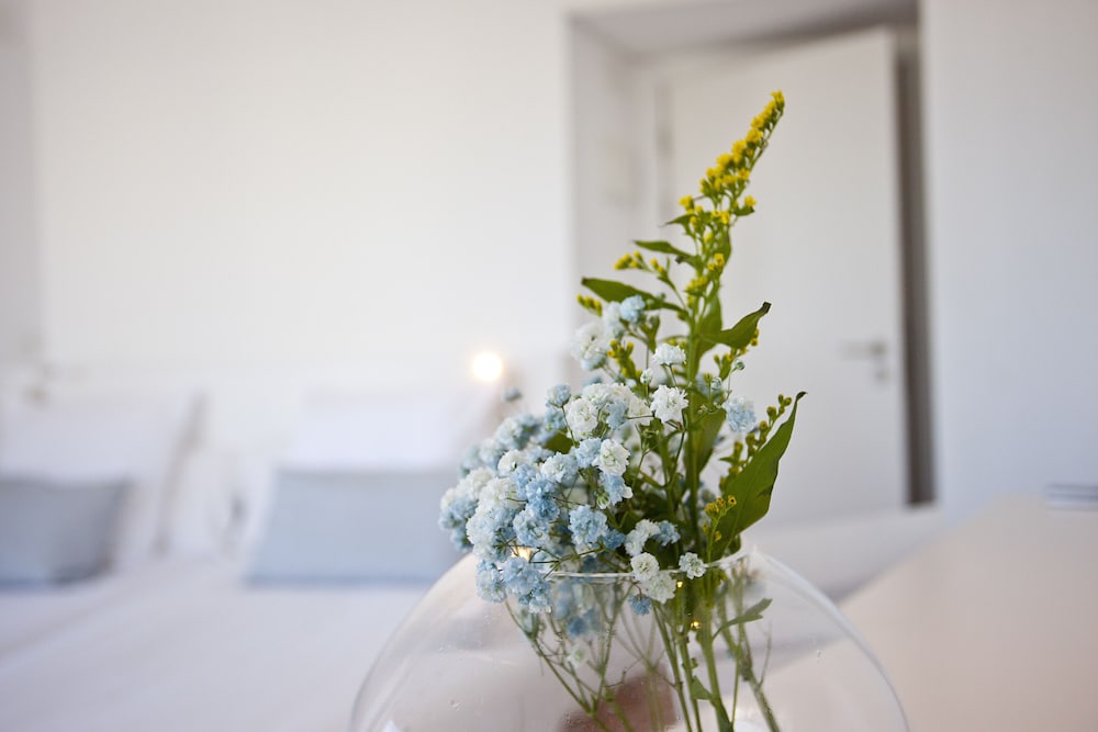 Santa Margalida Vacations - Galaxia Boutique Hotel - Property Image 2