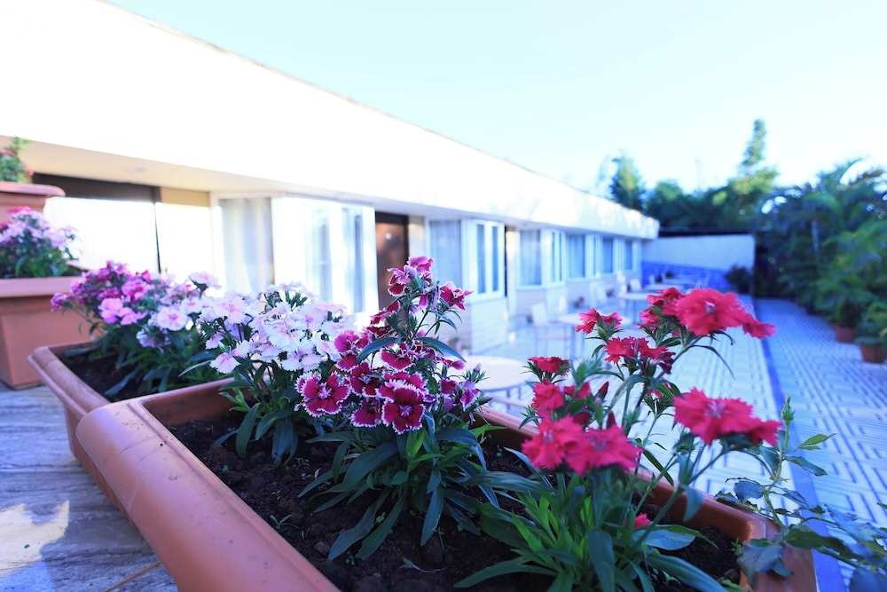 Hotel King Garden
