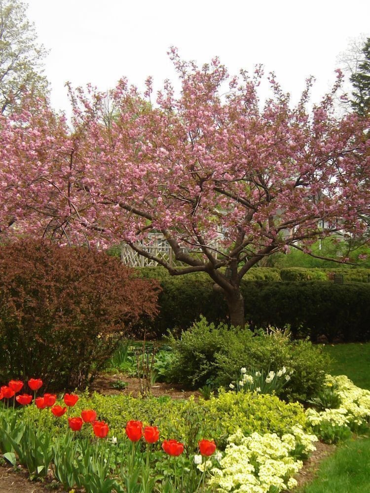 Vintage Gardens Bed & Breakfast