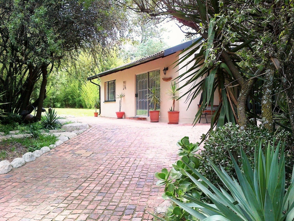 Pine Tree Lodge