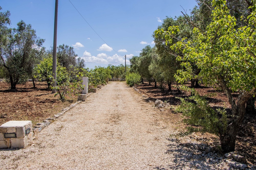 3598 Trullo Yoram by Perle di Puglia view 4