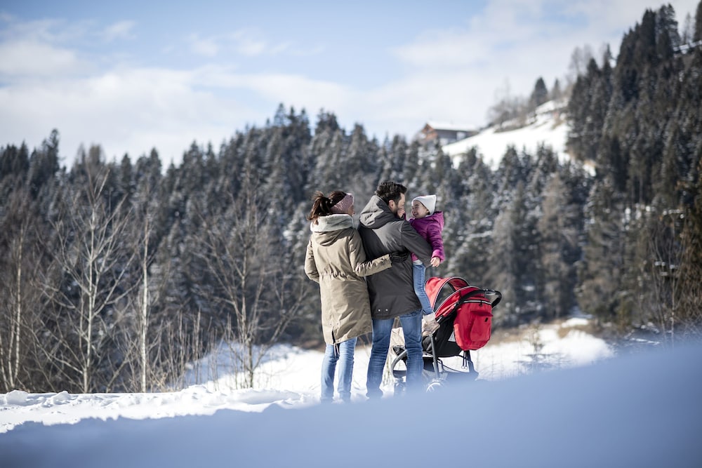 Post Alpina - Family Mountain Chalets