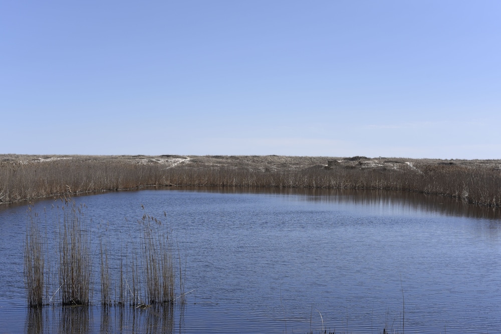 Ocean Dunes at Amagansett