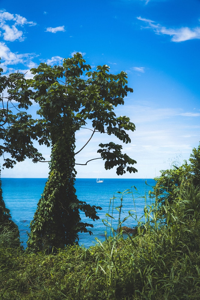 Mount Irvine Bay Resort