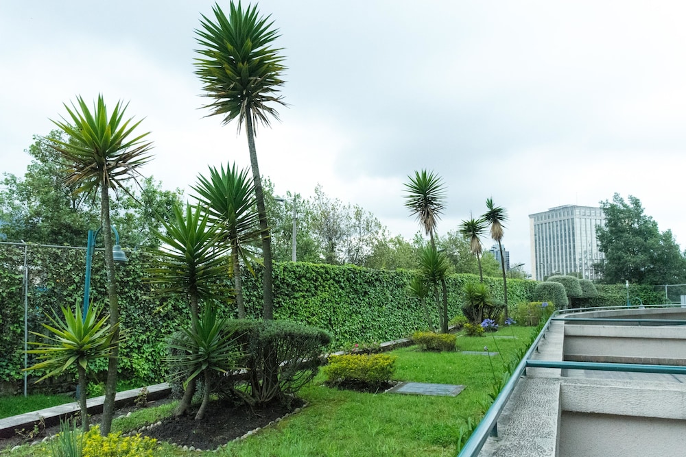 Torres de Suites by InAmazonas, photo 31