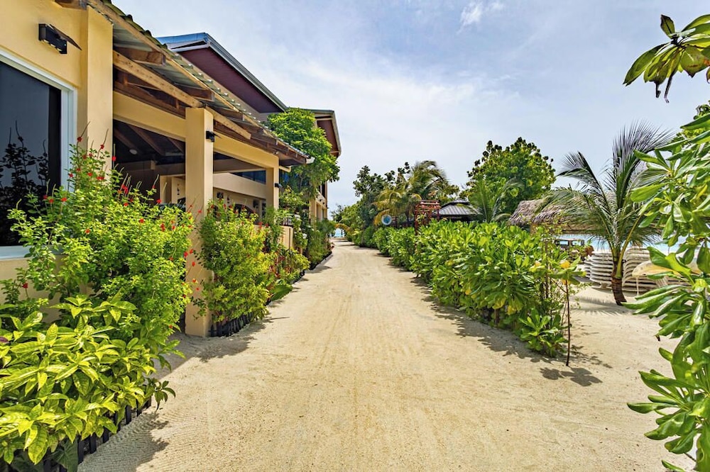 Bibee Maldives