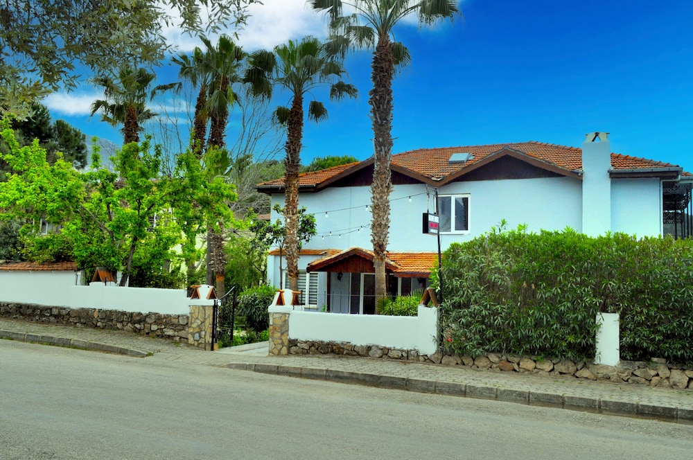 Native Otel - Image 8