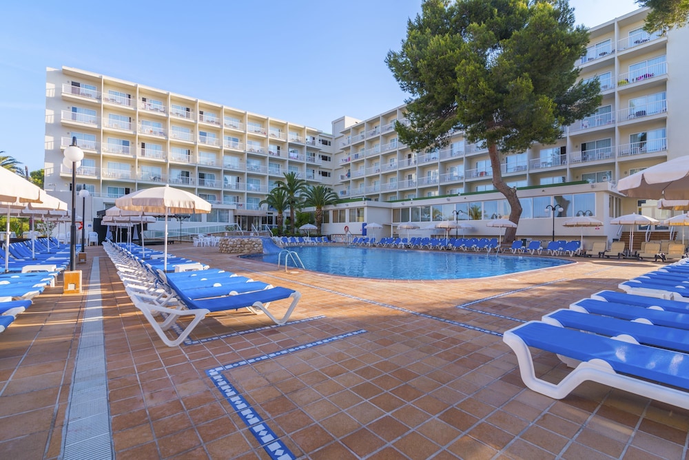 Moon Dreams Coral Beach