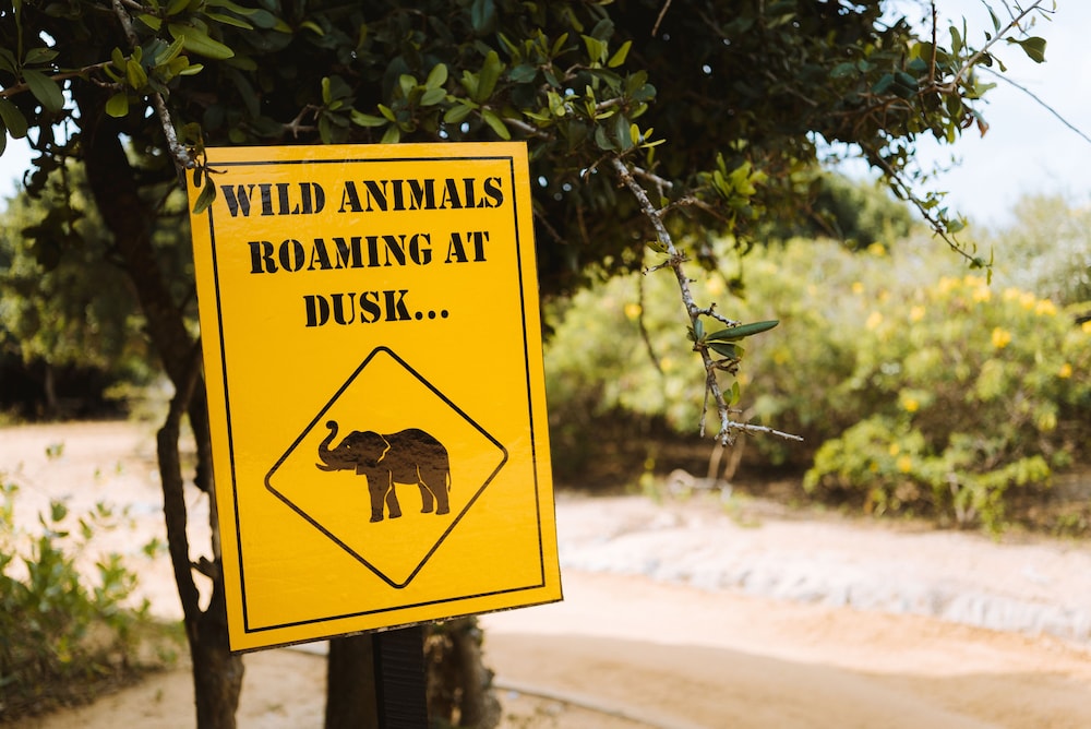Jetwing Jungle Lodge, A Luxury Reserve