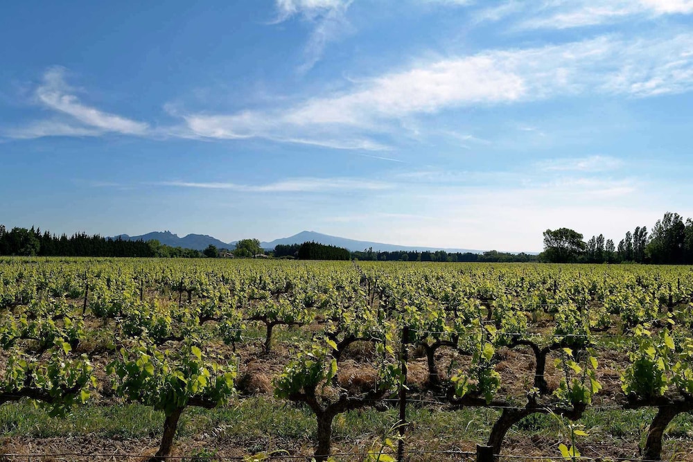 Mas du Clos de l'Escarrat