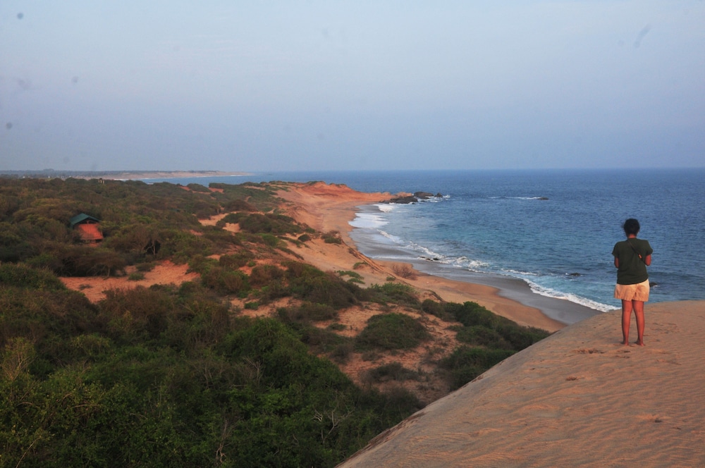 Back of Beyond Dune Camp - Yala