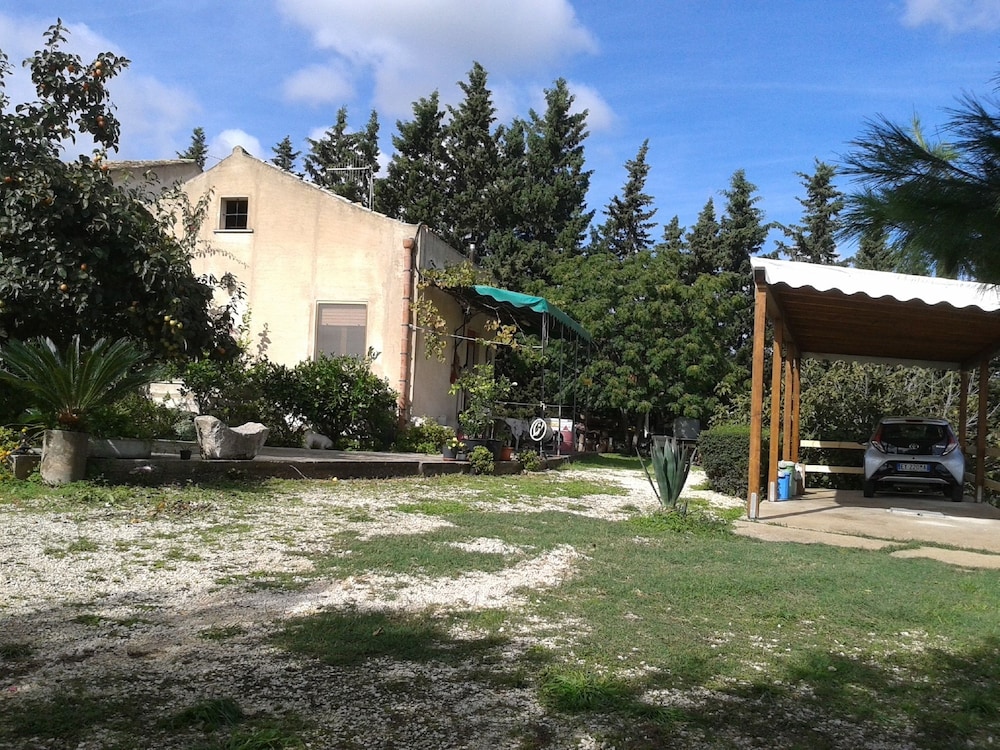 Photo 42