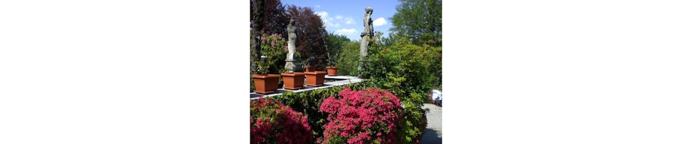 B&B il Gelsomino