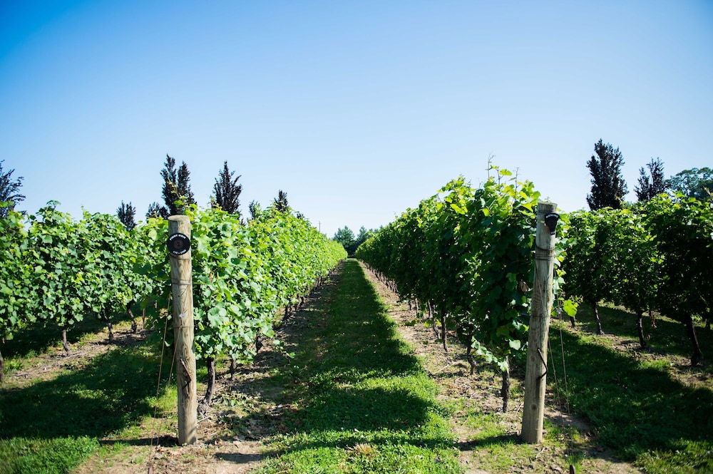 Niagara-on-the-Lake Vacations - The Shaw Club Hotel - Property Image 66