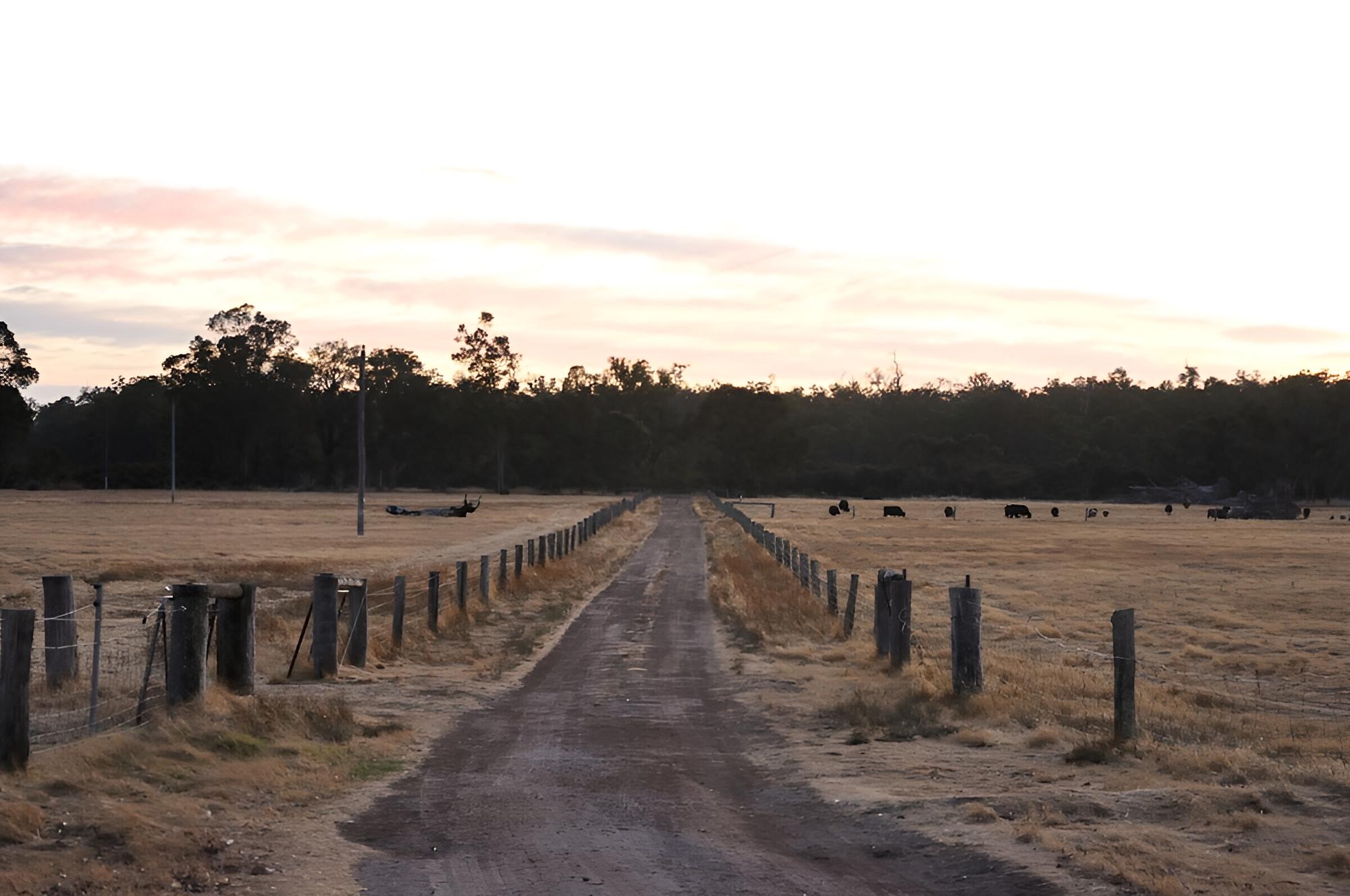 Wilga Farm Stay