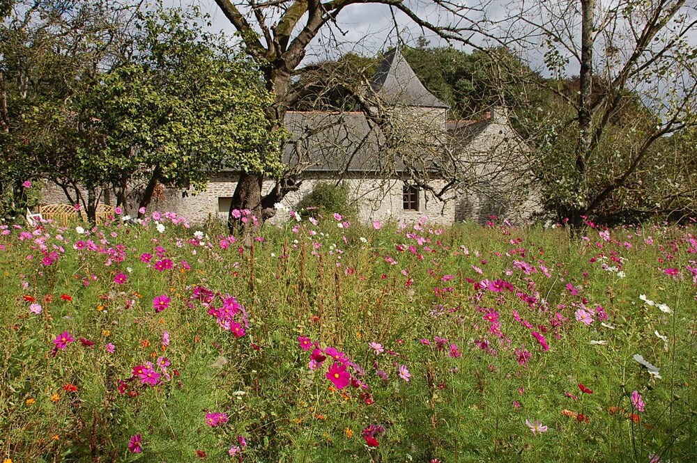 The Archeologist Home-Chateau Le Mur