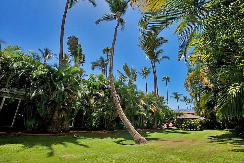 Aina Nalu #i109 2 Bedroom Condo by RedAwning